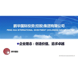 鹏华国际投资控股集团有限公司.ppt