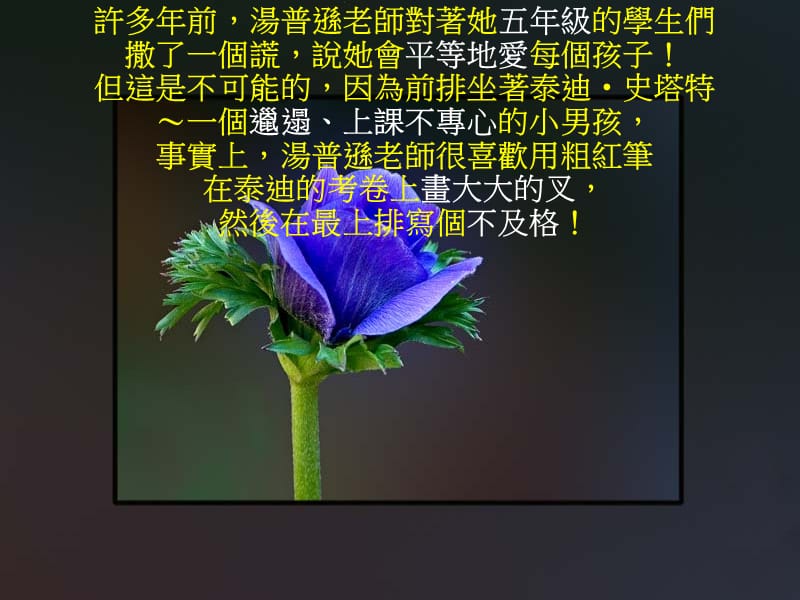 老師的啟示.ppt_第2页