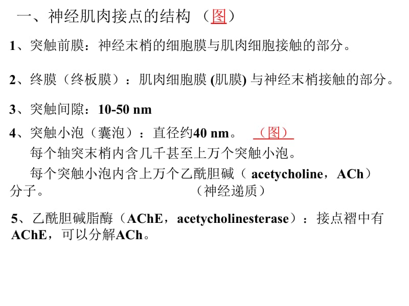 动物生理学课件第三章.ppt_第2页