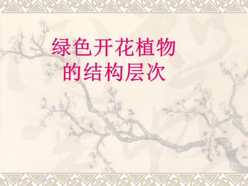 绿色开花植物的结构层次.ppt_第1页