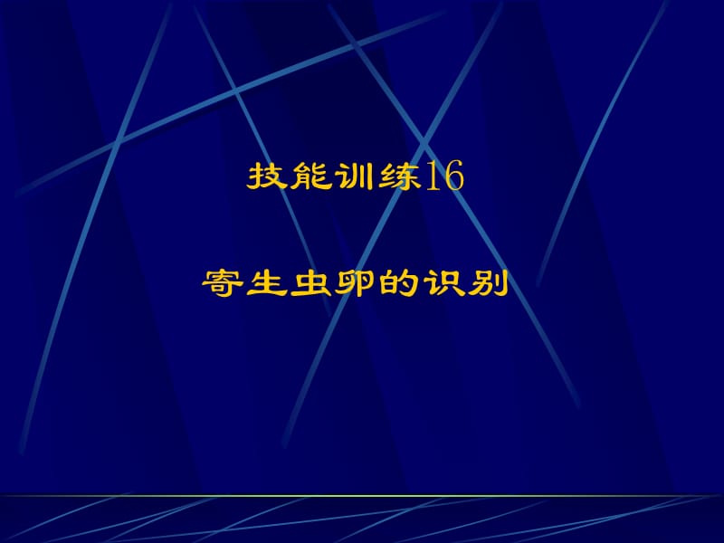 寄生虫卵的识别.ppt_第1页