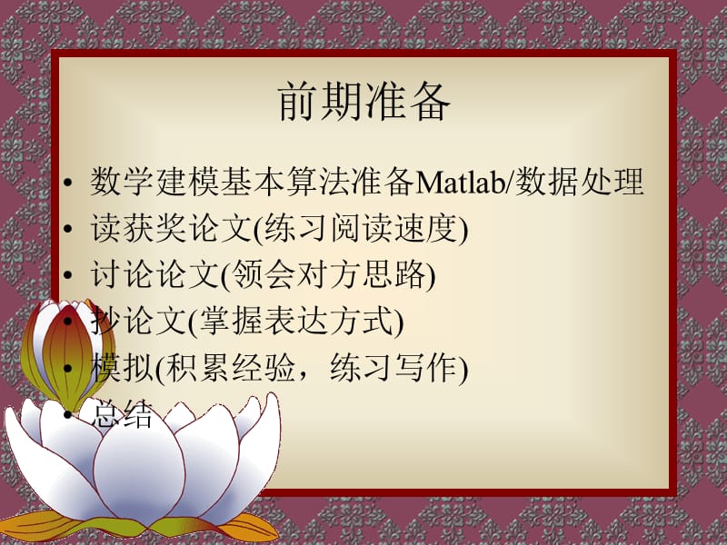 美赛经历.ppt_第2页