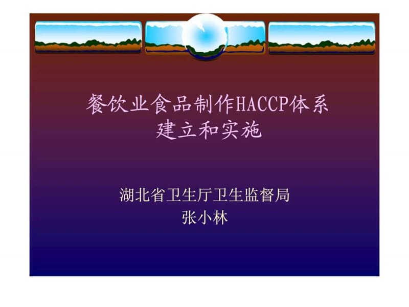 餐饮业食品制作HACCP体系建立和实施.ppt_第1页