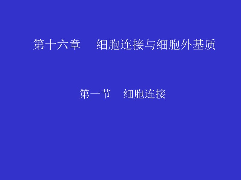 R第章细胞连接与细胞外基质.ppt_第1页