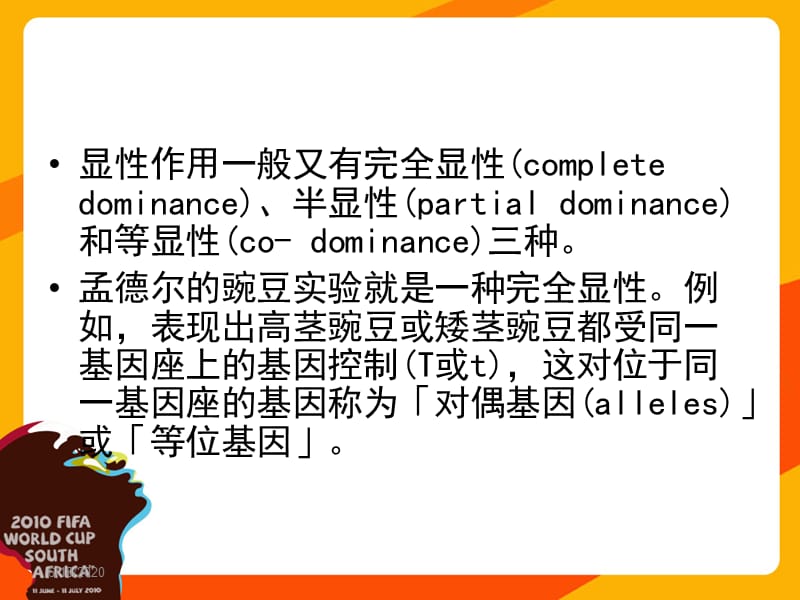 基因的上位作用.ppt_第2页