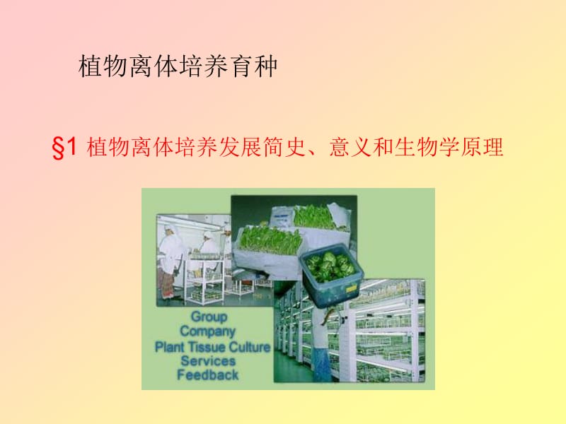 植物离体培养育种.ppt_第1页