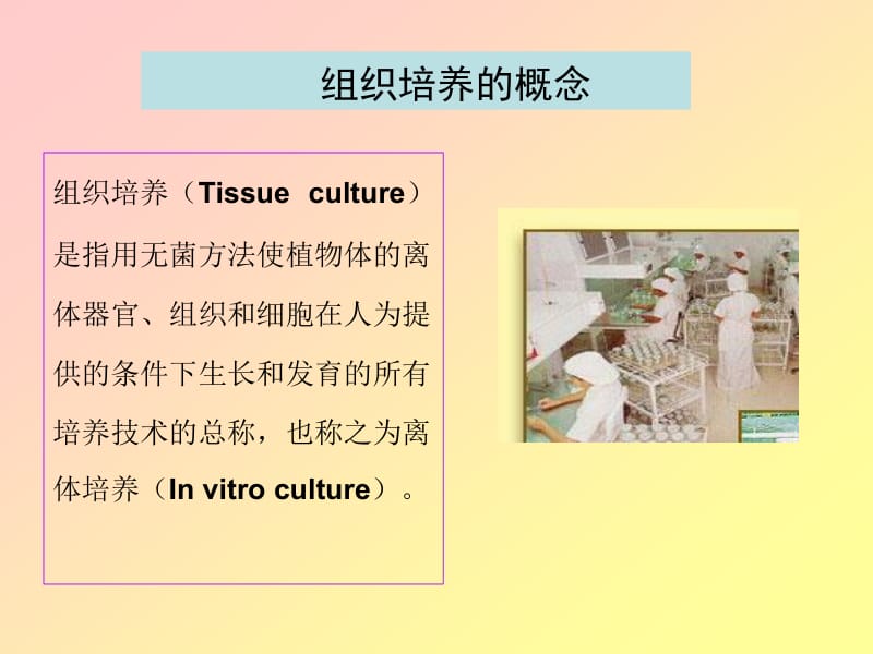 植物离体培养育种.ppt_第2页