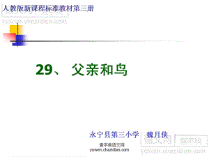 29、父亲和鸟.ppt