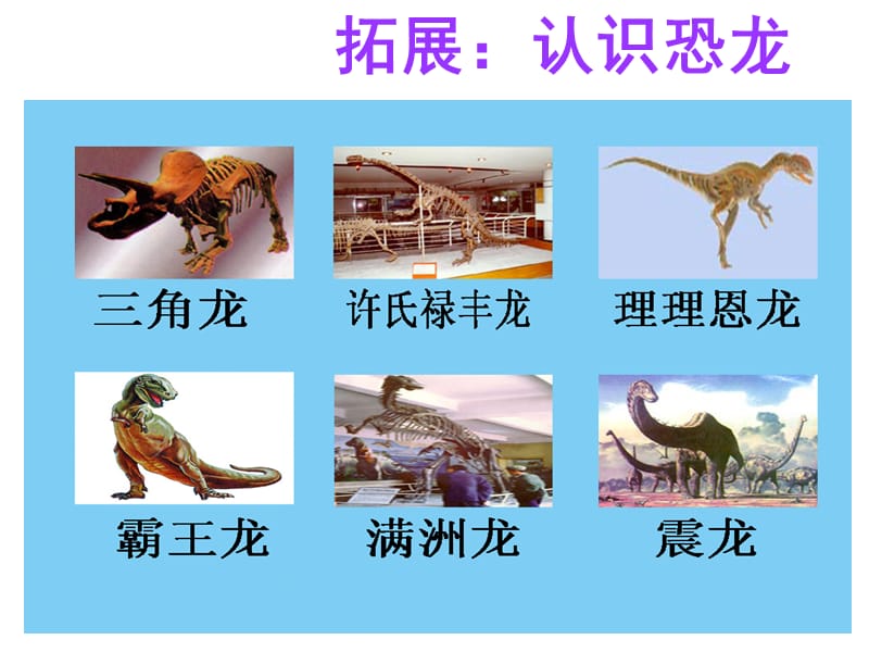 31《飞向蓝天的恐龙》ppt课件 (2).ppt_第2页