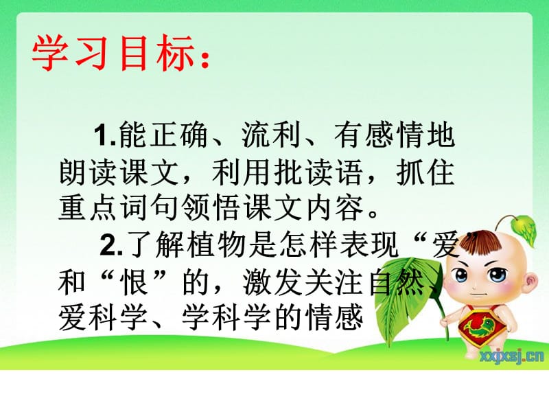 29植物的爱和恨.ppt_第3页