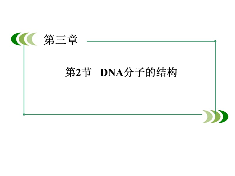 2014高一生物人教版必修2课件：3-2DNA分子的结构.ppt_第2页
