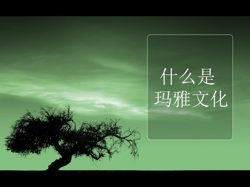 玛雅文化.ppt_第1页