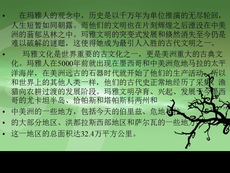 玛雅文化.ppt_第2页