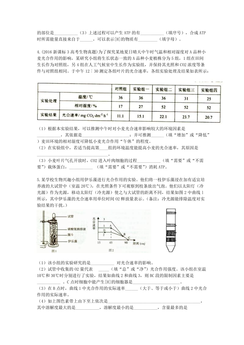 光合作用习题.doc_第2页