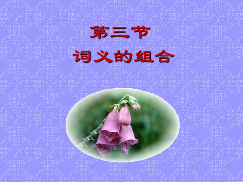 三节词义的组合.ppt_第1页