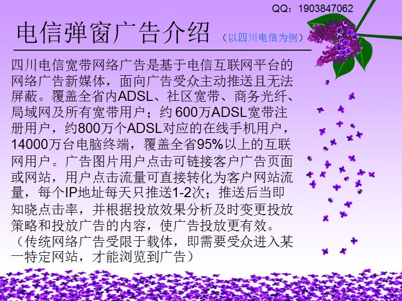上海电信弹窗广告.ppt_第2页