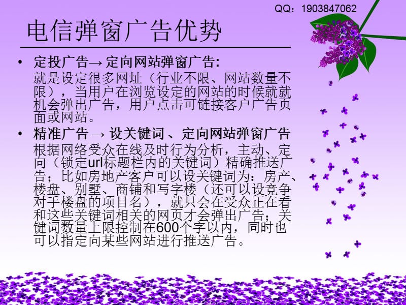 上海电信弹窗广告.ppt_第3页