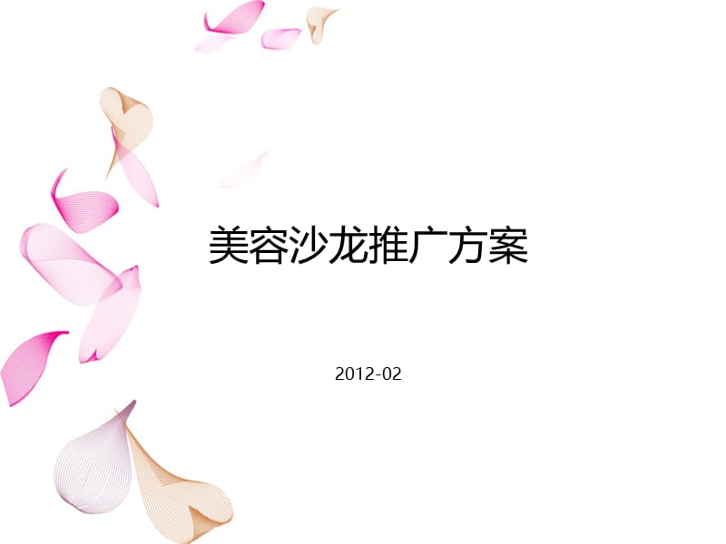 美容沙龙推广方案2012-02.ppt_第1页