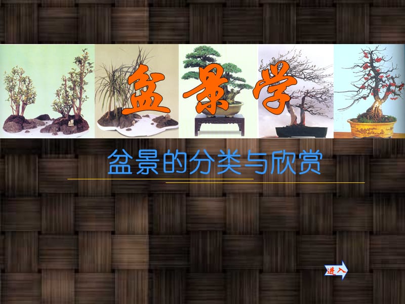 盆景的分类与欣赏ppt课件.ppt_第1页