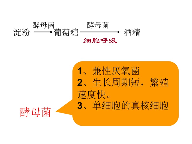 lhq探究酵母菌呼吸方式.ppt_第2页