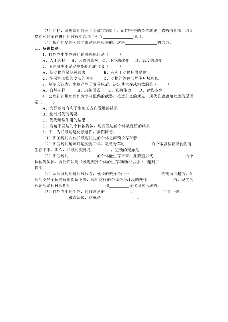 导学3第三节生物进化的原因肖鹏.doc_第2页