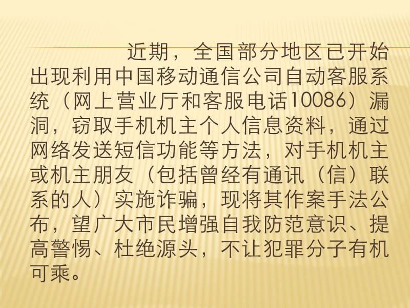 上海市公安局闵行分局宣.ppt_第2页