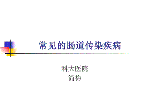 常见的肠道传染疾病.ppt