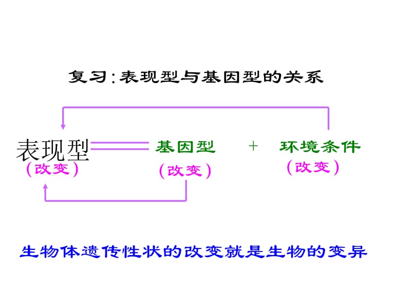 基因突变-2011.ppt_第2页