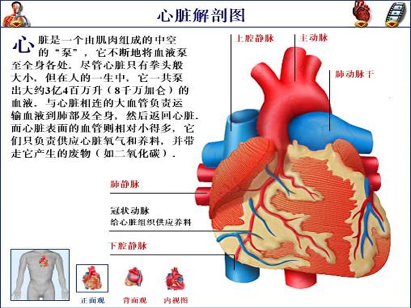 13心脏疾病用药.ppt_第1页