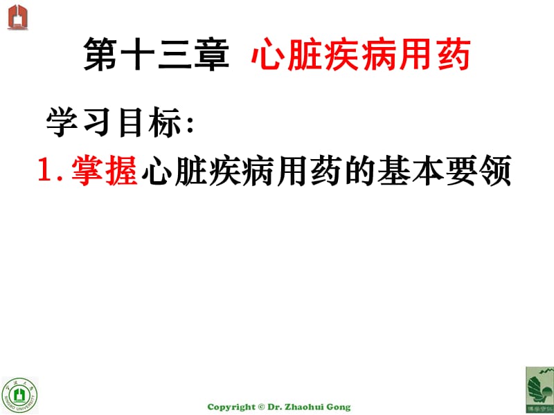 13心脏疾病用药.ppt_第2页