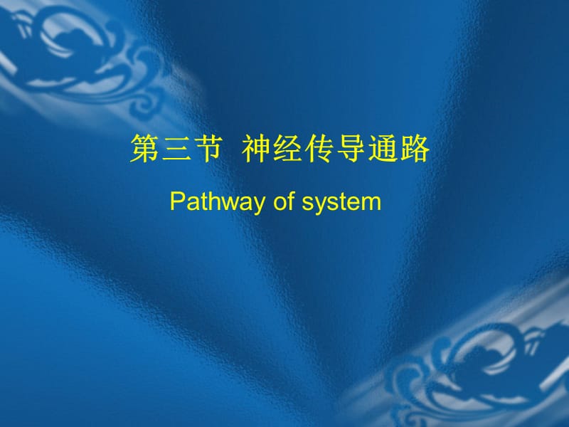 感觉传导通路.ppt_第1页