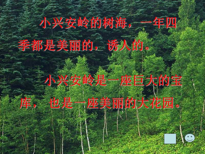 18_美丽的小兴安岭.ppt_第3页