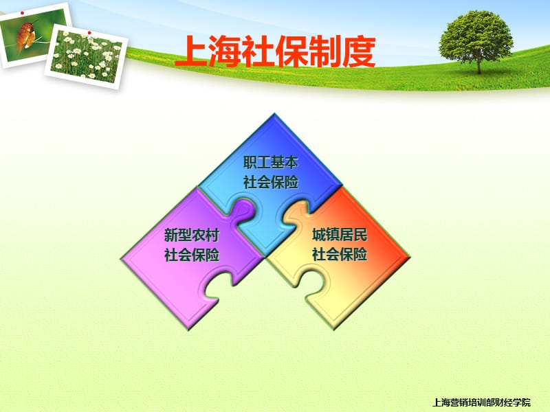 上海社会保险制度.ppt_第2页