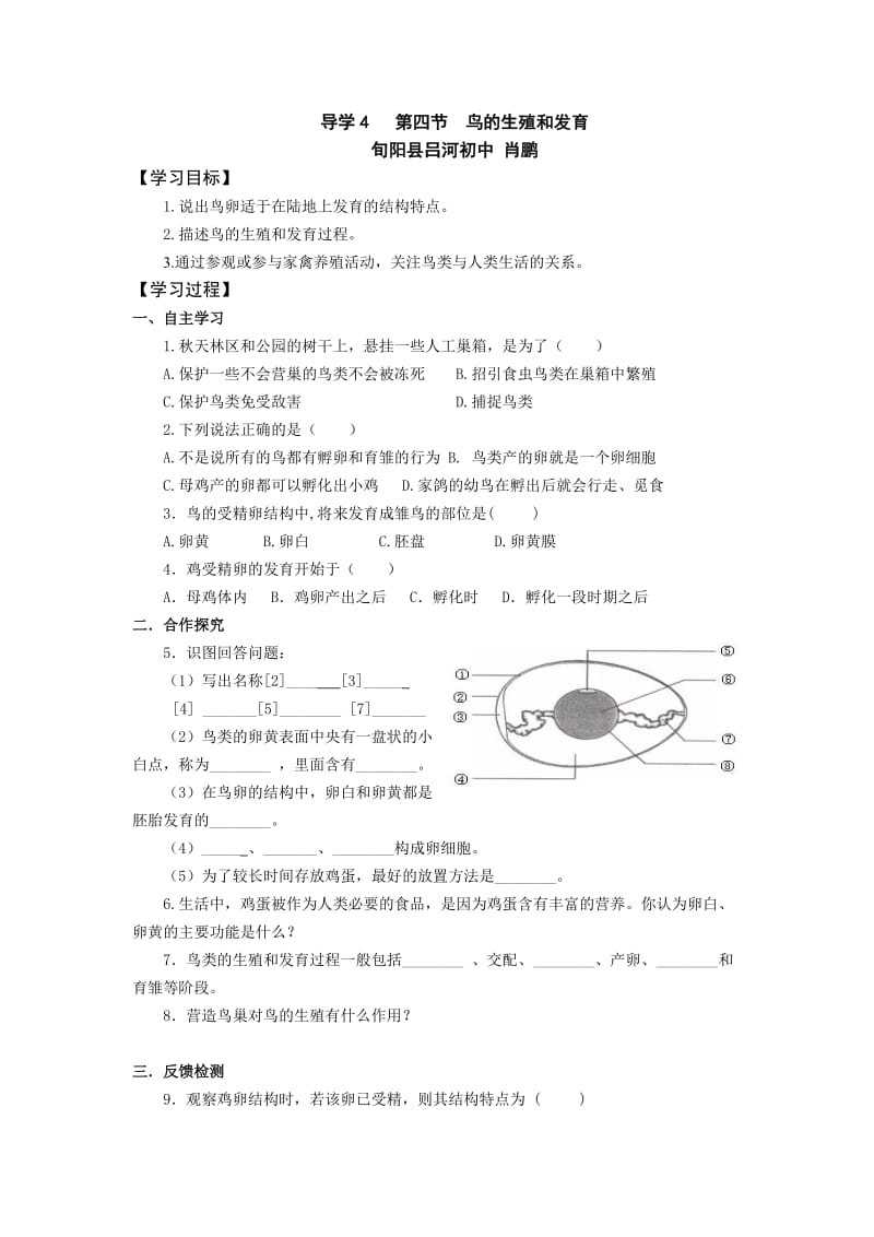 导学4第四节鸟的生殖和发育肖鹏.doc_第1页