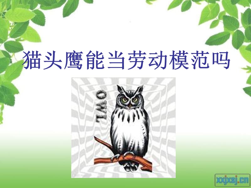 猫头鹰能当劳动模范.ppt_第1页