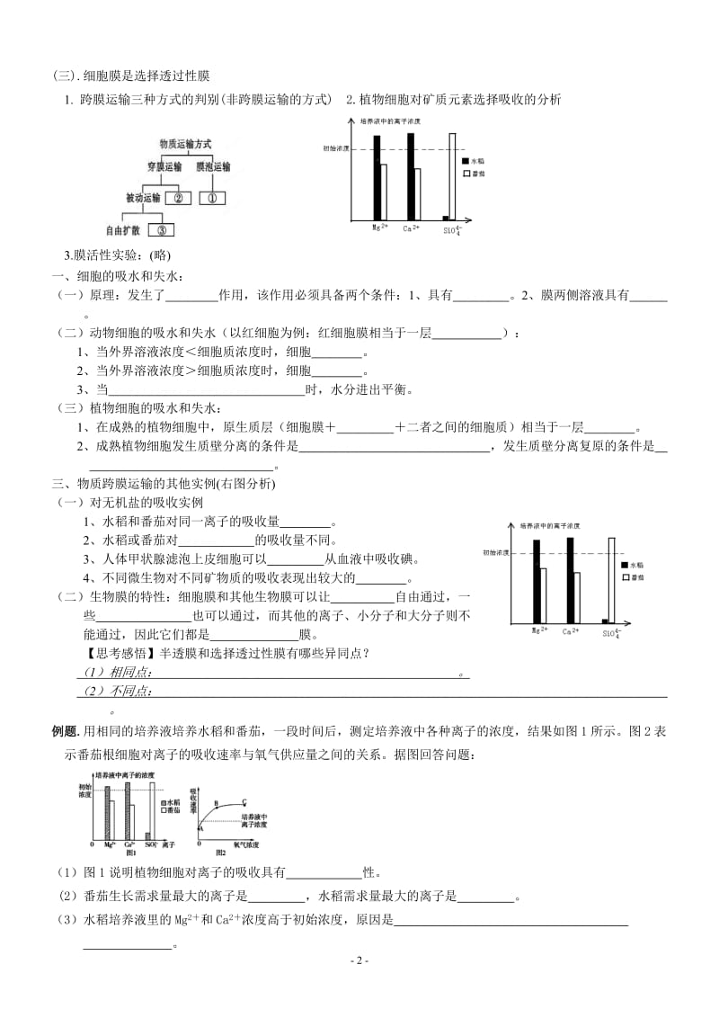 第4章物质的跨膜运输.doc_第2页