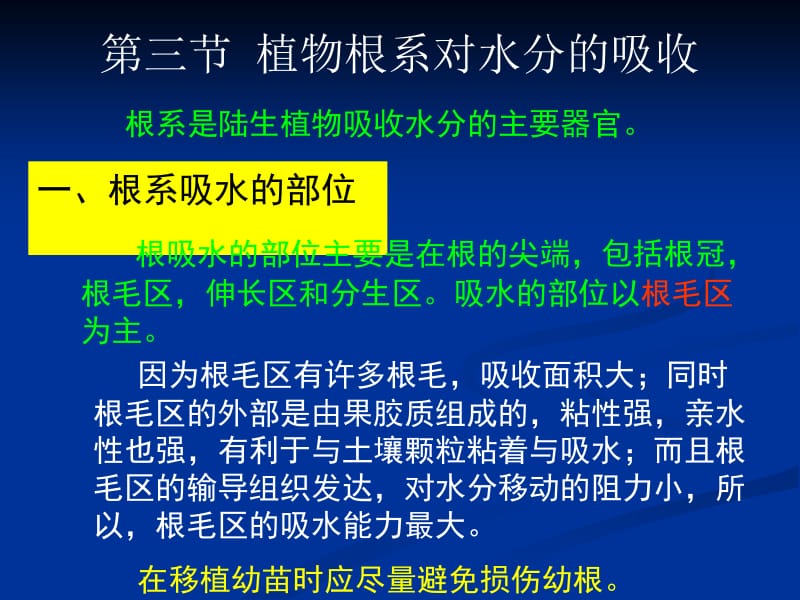 植物的水分代谢.ppt_第1页