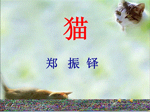 17课《猫》.ppt