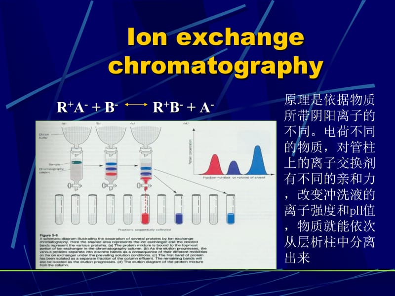 南农生物分离工程生物分离5.ppt_第1页