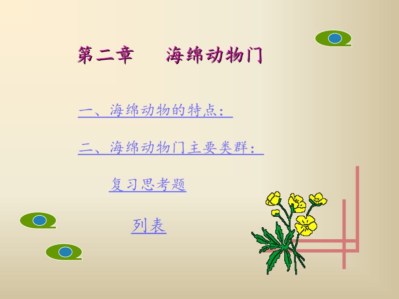 普通动物学海绵动物门.ppt_第2页