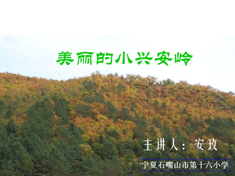 美丽的小兴安岭07.ppt_第3页