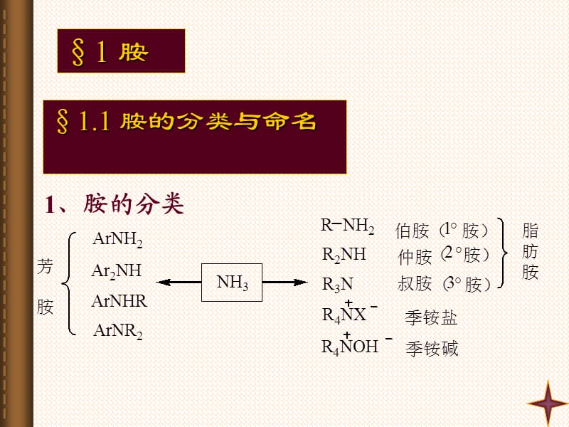 有机化学11胺与酰胺.ppt_第2页