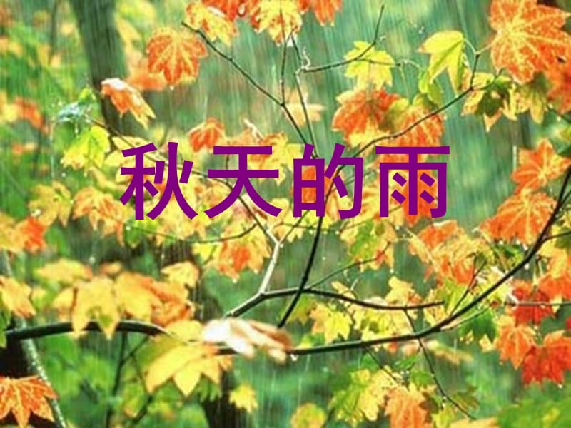 11课《秋天的雨》PPT课件.ppt_第1页