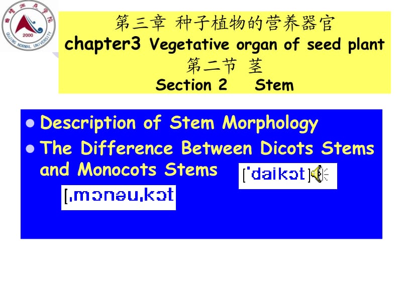 stem1植物学课件.ppt_第1页