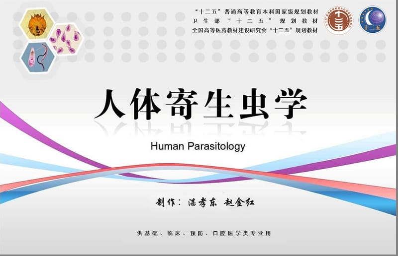 刚地弓形虫.ppt_第2页