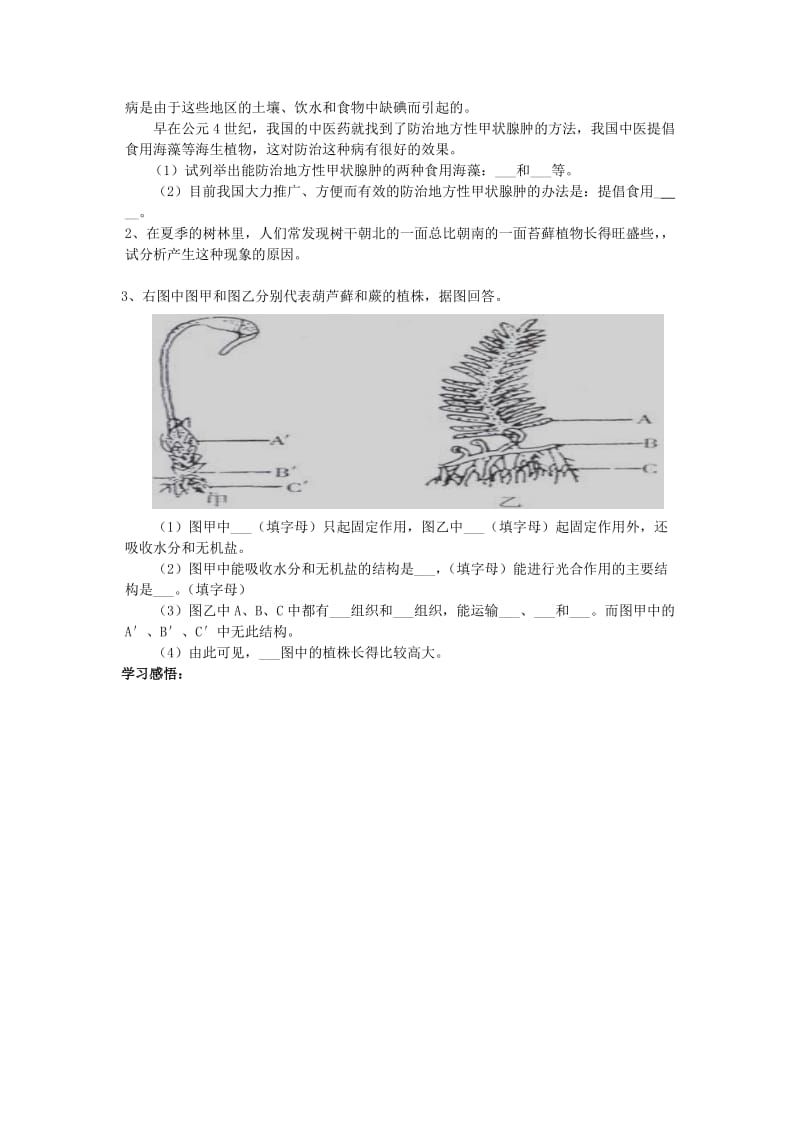 第一节藻类导学案肖鹏.doc_第3页