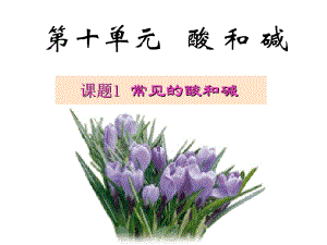 10.1常见的酸和碱.ppt