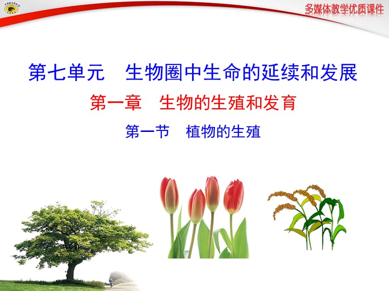 第一节植物的生殖.ppt_第1页