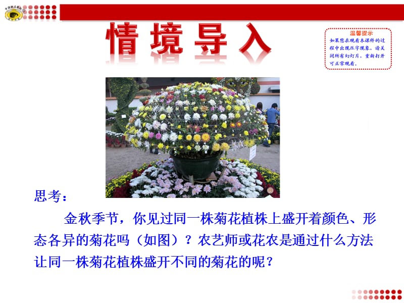 第一节植物的生殖.ppt_第2页