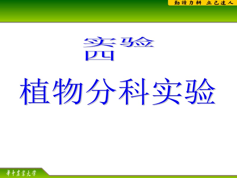 实验四被子植物分科基础.ppt_第1页